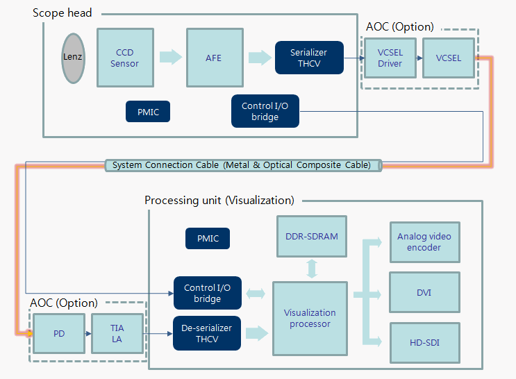 Serializer fields